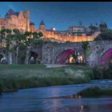 Appartement T2 Avec Vue Chateau Carcassone Kültér fotó