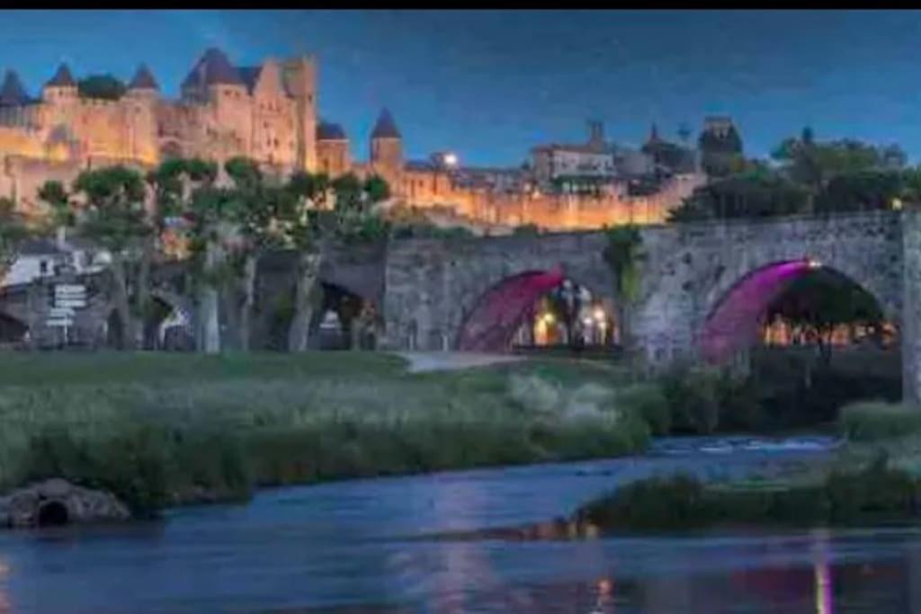 Appartement T2 Avec Vue Chateau Carcassone Kültér fotó