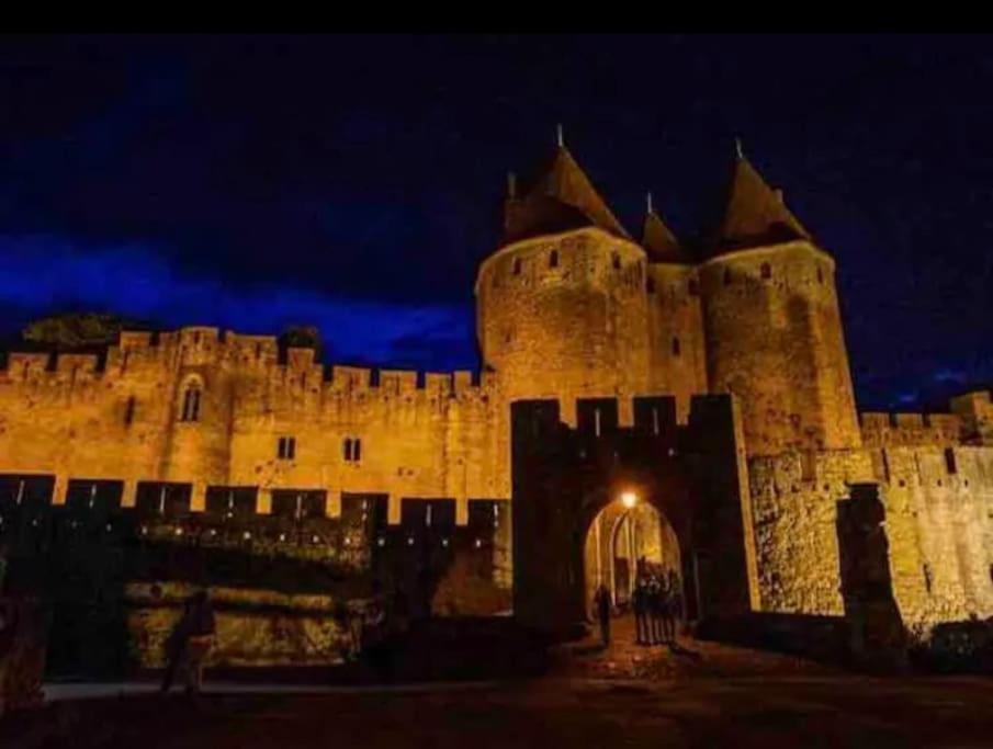 Appartement T2 Avec Vue Chateau Carcassone Kültér fotó