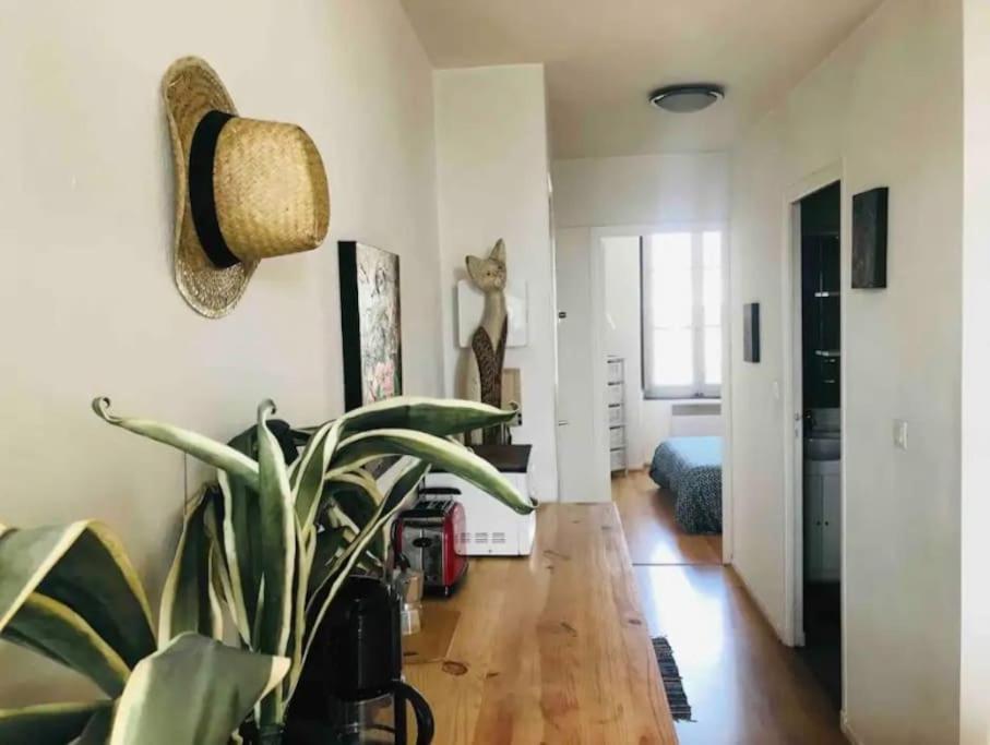 Appartement T2 Avec Vue Chateau Carcassone Kültér fotó