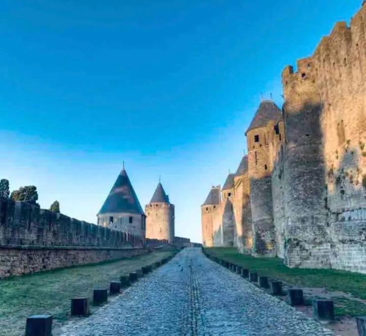 Appartement T2 Avec Vue Chateau Carcassone Kültér fotó