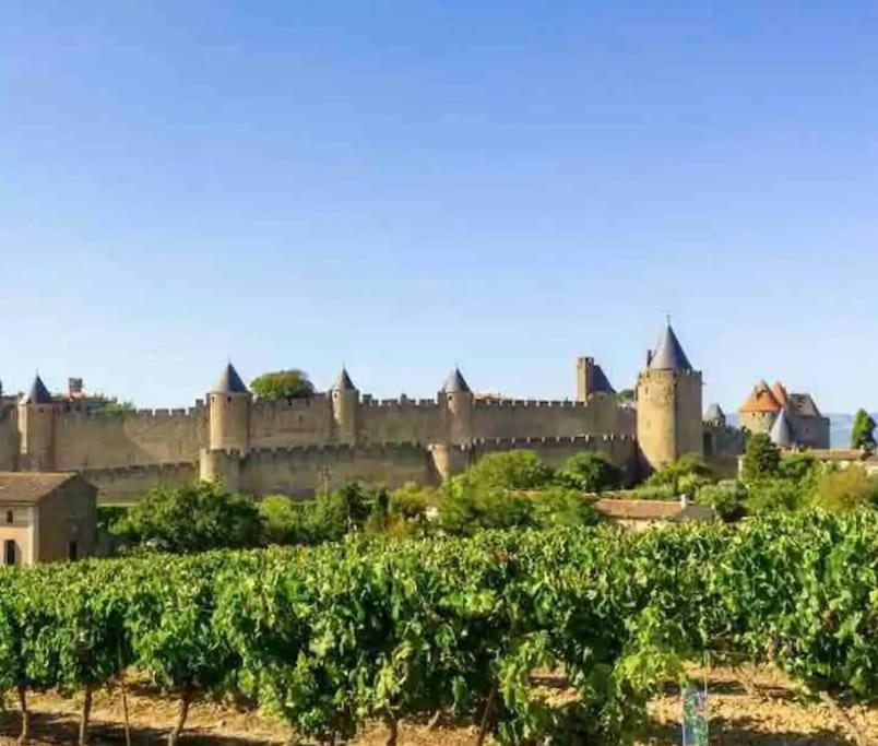Appartement T2 Avec Vue Chateau Carcassone Kültér fotó